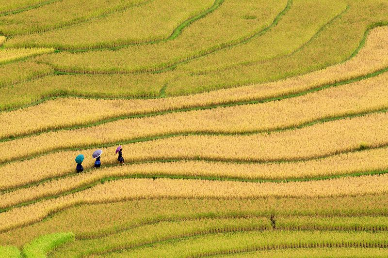 1749173220464640.jpg 1747895517907028.jpg