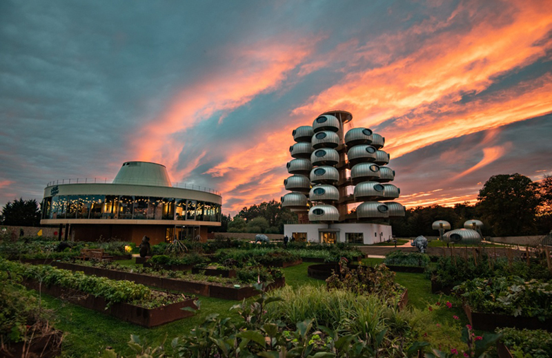 越看越像樹葡萄，但一點(diǎn)都不“土味”